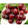 Саженцы черешни Крупноплодная черная -  5 шт.: фото и описание