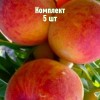 Саженцы Персика Клокред - 5 шт.: фото и описание